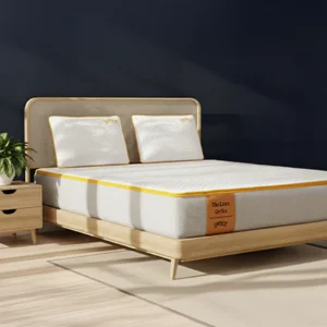 Home power suit ensemble